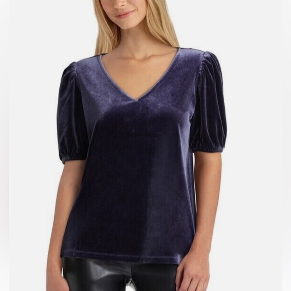 Gigi Parker Navy Blue Velvet Top